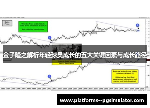 金子隆之解析年轻球员成长的五大关键因素与成长路径